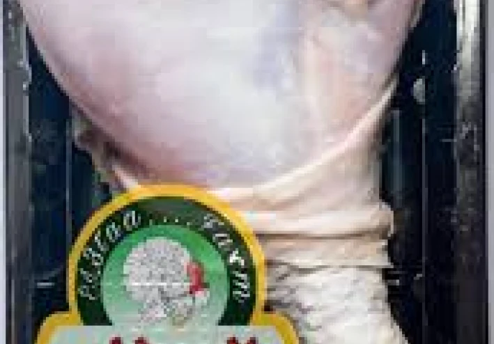 لحم الديك الرومي في كثير من الحالات هو معالج للغاية. انها ليست صحية كما يقولون في الوجبات الغذائية."