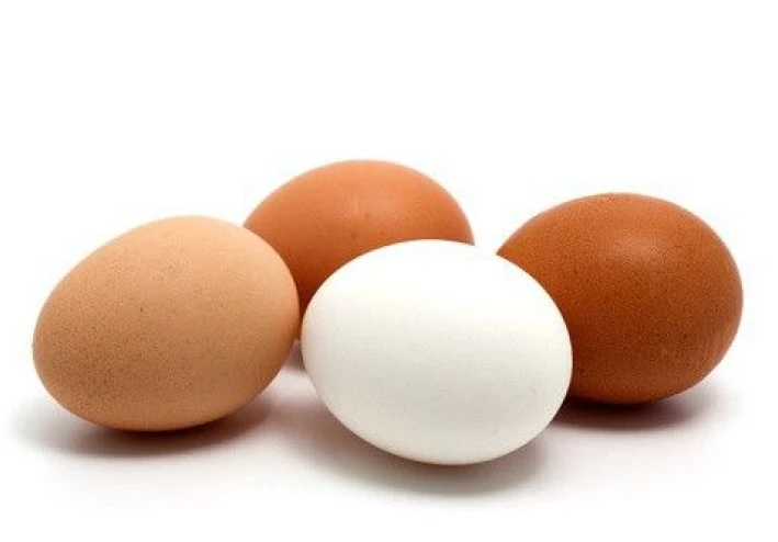 📊 أسعار البيض في مصر 2026 — تقرير شامل ومحدث للمستهلك والمزارع