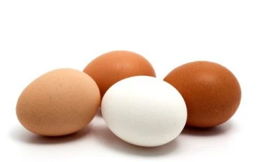 📊 أسعار البيض في مصر 2026 — تقرير شامل ومحدث للمستهلك والمزارع