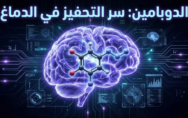 الدوبامين: رسول المتعة واليقظة في الدماغ البشري.
