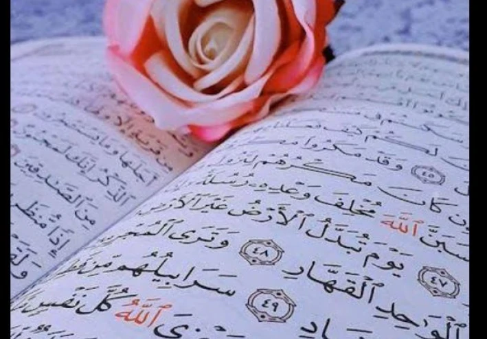 نور الهداية في القرآن الكريم ومنهجه في بناء الإنسان