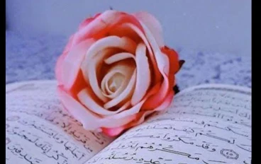 نور الهداية في القرآن الكريم ومنهجه في بناء الإنسان