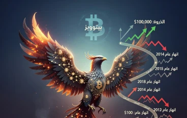 "The Phoenix of Finance: Bitcoin’s Journey from $100 to $100K and Every Crash In Between"