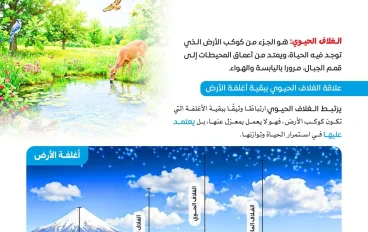 تحميل كتاب التفوق علوم متكاملة تانية ثانوي ترم تاني 2026 PDF نسخه مجانيه وجاهزة للطباعه 