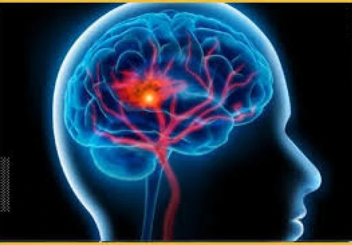 هذه هي الطريقة التي تؤثر بها الجراثيم على صحتك العقلية: كيف تعتني بالبكتيريا للتحكم بشكل أفضل في حياتك