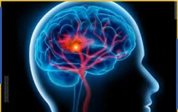 هذه هي الطريقة التي تؤثر بها الجراثيم على صحتك العقلية: كيف تعتني بالبكتيريا للتحكم بشكل أفضل في حياتك