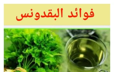 حقيقة صادمة: أوراق خضراء في مطبخك   قد تغيّر صحتك بالكامل!