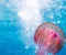 صورة مقال Jellyfish: Ancient Ocean Creatures That Defy Aging