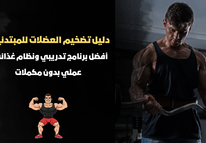 دليل تضخيم العضلات للمبتدئين 2026: أفضل برنامج تدريبي ونظام غذائي عملي بدون مكملات