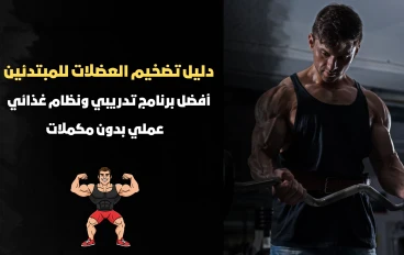 دليل تضخيم العضلات للمبتدئين 2026: أفضل برنامج تدريبي ونظام غذائي عملي بدون مكملات