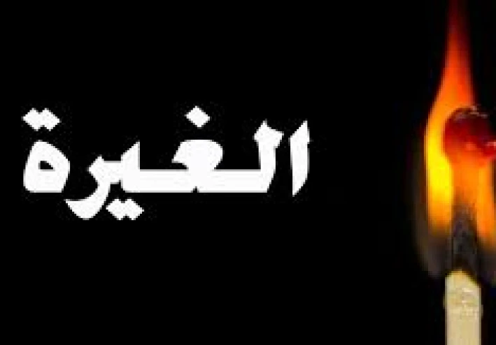 الجزء الخامس (يوميات مدرسية ) .... الغيرة وفرصة جديدة