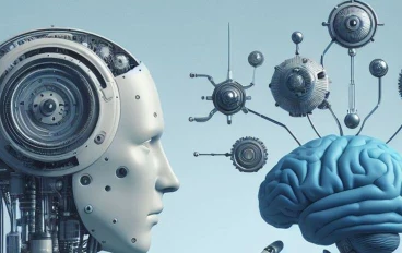 نظم المعلومات تتسم البيانات المُجمعة