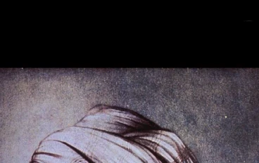 ابن سينا: الشيخ الرئيس وعبقري الحضارة الإسلامية الكونية