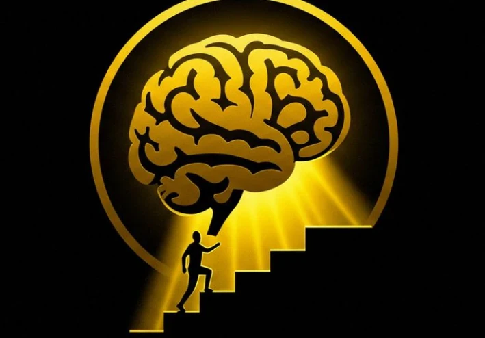 هندسة الشخصية الناجحة: الدليل المتكامل لتطوير الذات وإعادة صياغة حياتك من الصفر