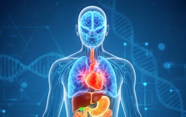 كيف تعمل أعضاء جسم الإنسان معًا للحفاظ على حياتك؟