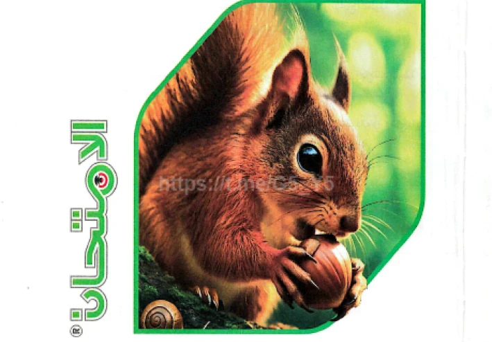 تحميل كتاب الامتحان في العلوم للصف الأول الإعدادي ترم ثاني 2026 – دليلك الذهبي للتفوق