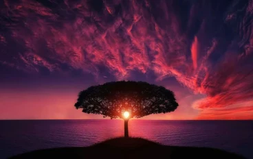 قصة سيدنا آدم وحواء للأطفال