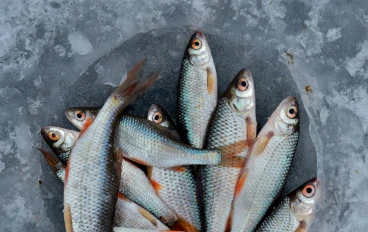   🧠 تغذية الدماغ: أطعمة تساعد على التركيز وتحسين الذاكرة