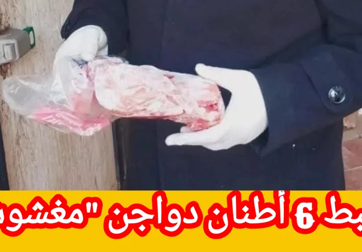 ضبط 6 أطنان دواجن "مغشوشة المصدر" قبل بيعها للمواطنين في القناطر الخيرية
