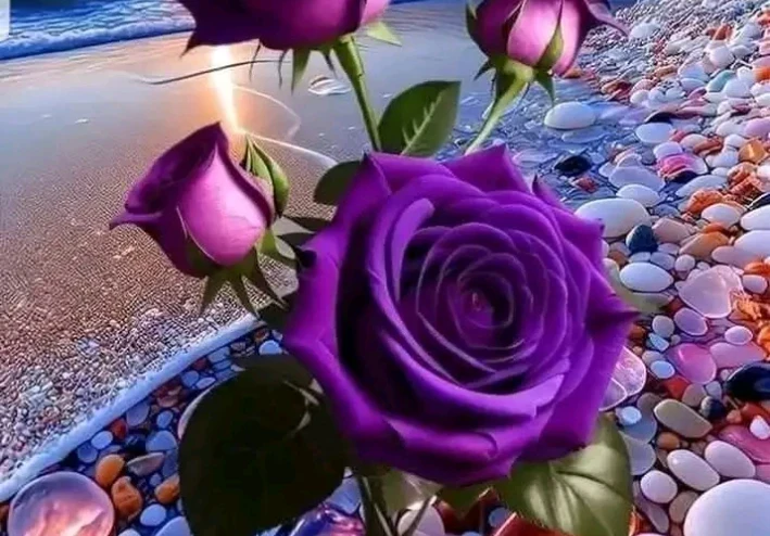 يوميات زوج حنون وزوجة اصيلة