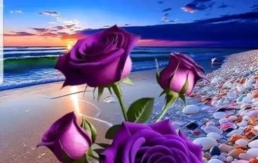 يوميات زوج حنون وزوجة اصيلة 