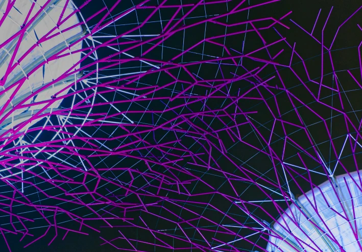 إيقاع الحياة الخفي: سيمفونية الساعة البيولوجية في الكائنات الحية