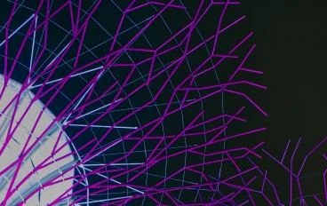 إيقاع الحياة الخفي: سيمفونية الساعة البيولوجية في الكائنات الحية