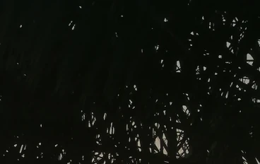 أهم ١٠٠ جملة في اللغة الإنجليزية 