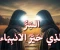 صورة مقال قِصَّةُ مُوسَى وَالخَضِرِ كَامِلَةً | السِّرُّ الَّذِي لَمْ يَفْهَمْهُ مُوسَى فِي البِدَايَة!