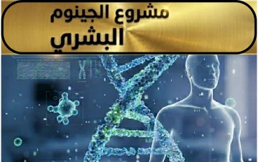 مشروع الجينوم البشري: الخريطة الكاملة لجينات الإنسان وكيف تغير مستقبل الطب