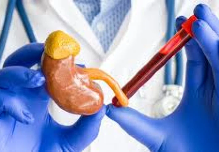 الكورتيزول ، المخرب الصامت لتغذيتك المثالية