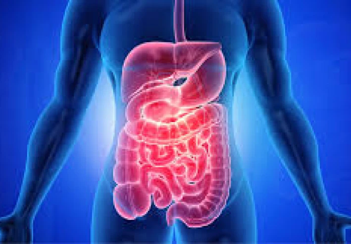 عندما يتسلل العمر إلى أحشائك: هذه هي الطريقة التي يتقدم بها الجهاز الهضمي