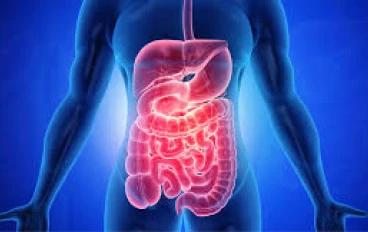 عندما يتسلل العمر إلى أحشائك: هذه هي الطريقة التي يتقدم بها الجهاز الهضمي