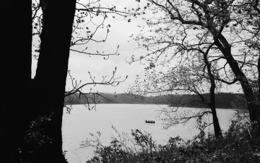 ناسك البحيرات وسادن الطبيعة: رحلة وجدانية في ملكوت "وليم وردزورث" الإنساني