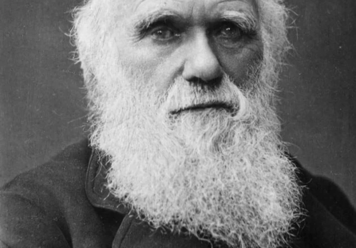 أصل الأنواع: نظرية داروين وثورة فهم الحياة