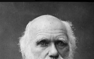 أصل الأنواع: نظرية داروين وثورة فهم الحياة