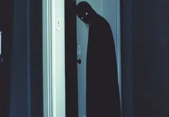 رواية ظلّ البيت الأخير