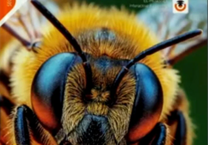 تحميل كتاب المعاصر ساينس لغات الصف الثاني الإعدادي الترم الثاني ٢٠٢٦ pdf