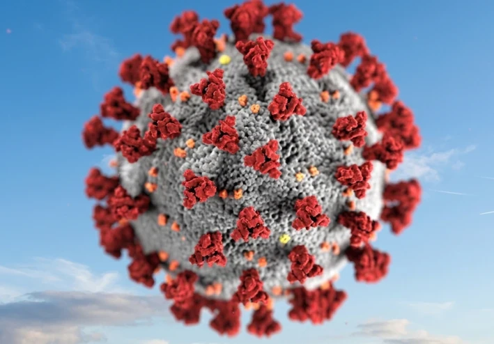 متحور XBB: خريطة طريق لفهم السلالة الأسرع انتشاراً وسبل الوقاية منها