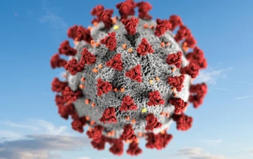 متحور XBB: خريطة طريق لفهم السلالة الأسرع انتشاراً وسبل الوقاية منها