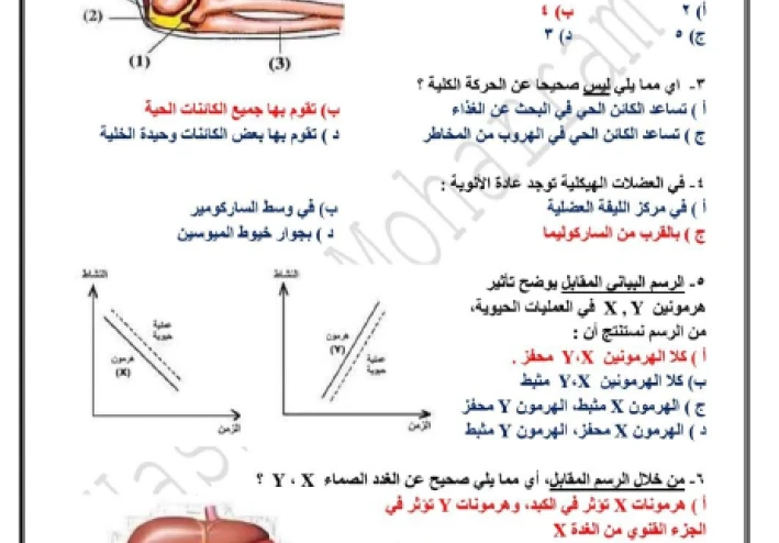 تحميل إجابات وأسئلة نماذج الوزارة لمادة الأحياء للصف الثالث الثانوي 2026،