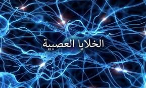 ما هي الخلايا العصبية المرآتية: كيفية تدريبهم على جعلك (أكثر) سعادة