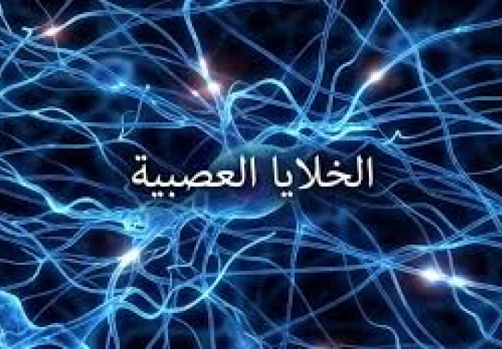 ما هي الخلايا العصبية المرآتية: كيفية تدريبهم على جعلك (أكثر) سعادة