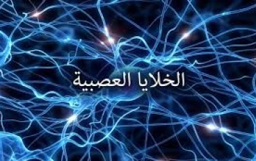 ما هي الخلايا العصبية المرآتية: كيفية تدريبهم على جعلك (أكثر) سعادة