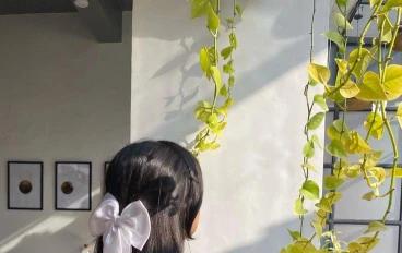 إزاي أخلي شعري Healthy & Shiny: روتين يومي سهل 