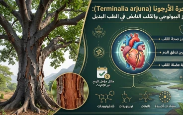 شجرة الأرجونا (Terminalia arjuna): الكنز البيولوجي والقلب النابض في الطب البديل