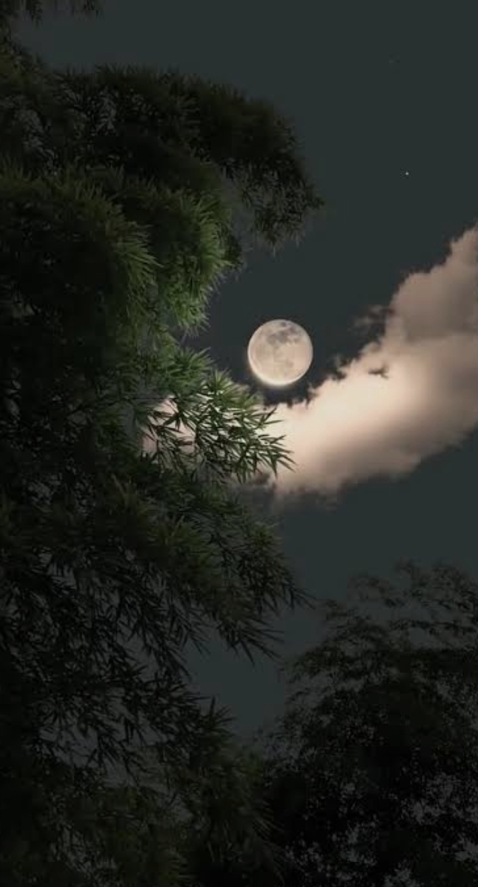 صورة مقال عيون حائرة الفصل الثاني 