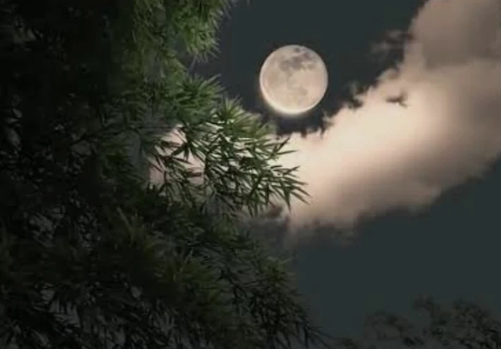 عيون حائرة الفصل الثاني