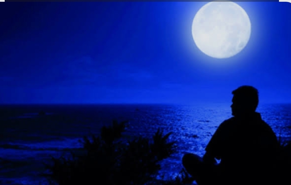 صورة مقال عيون حائرة الفصل الرابع 