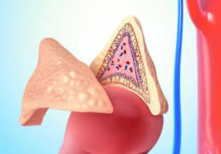 "الكورتيزول لص هرمون الاستروجين"